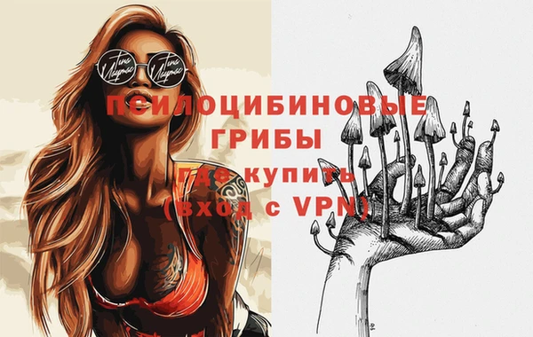 мяу мяу мука Покровск